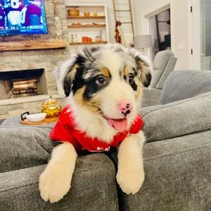 Meet your Posher, Audrey